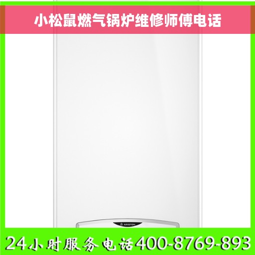 小松鼠燃气锅炉维修师傅电话