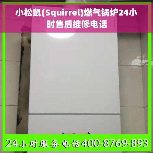 小松鼠(Squirrel)燃气锅炉24小时售后维修电话