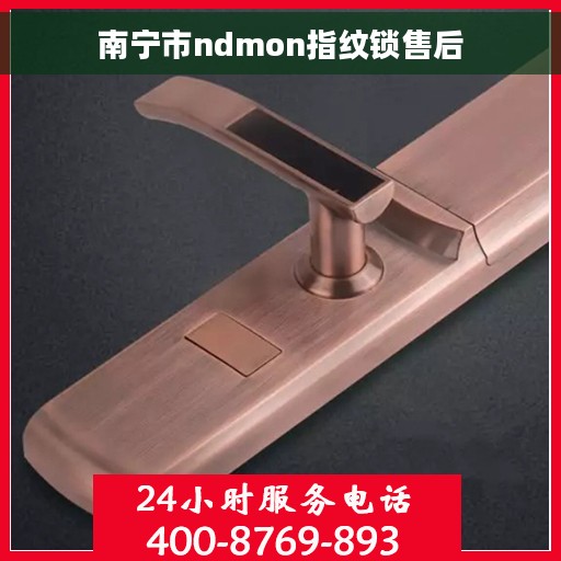 南宁市ndmon指纹锁售后