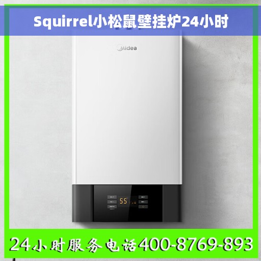 Squirrel小松鼠壁挂炉24小时