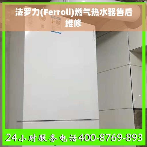 法罗力(Ferroli)燃气热水器售后维修