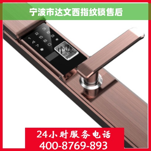 宁波市达文西指纹锁售后