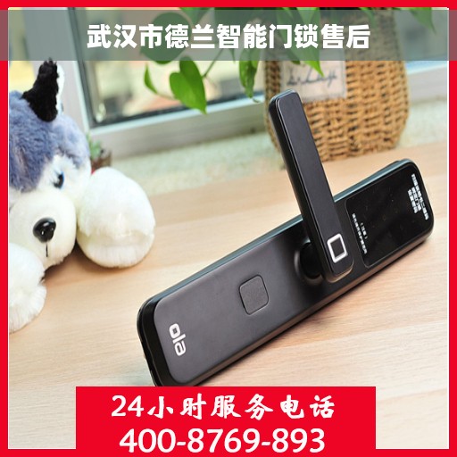 武汉市德兰智能门锁售后