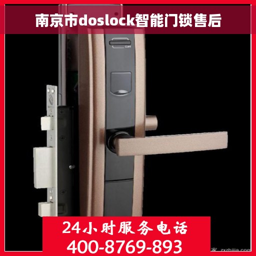 南京市doslock智能门锁售后