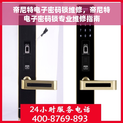 帝尼特电子密码锁维修，帝尼特电子密码锁专业维修指南