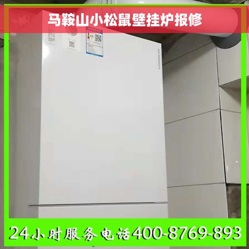 马鞍山小松鼠壁挂炉报修