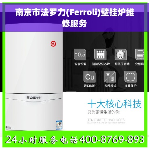 南京市法罗力(Ferroli)壁挂炉维修服务