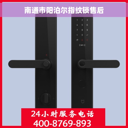 南通市阳泊尔指纹锁售后