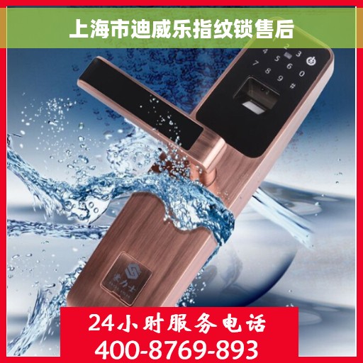 上海市迪威乐指纹锁售后