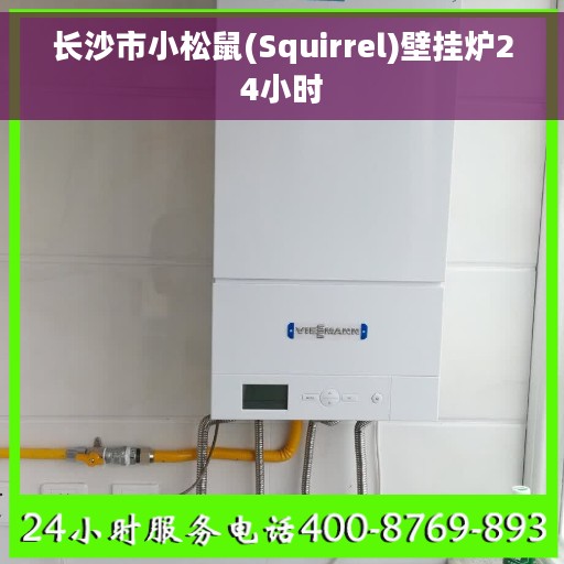 长沙市小松鼠(Squirrel)壁挂炉24小时