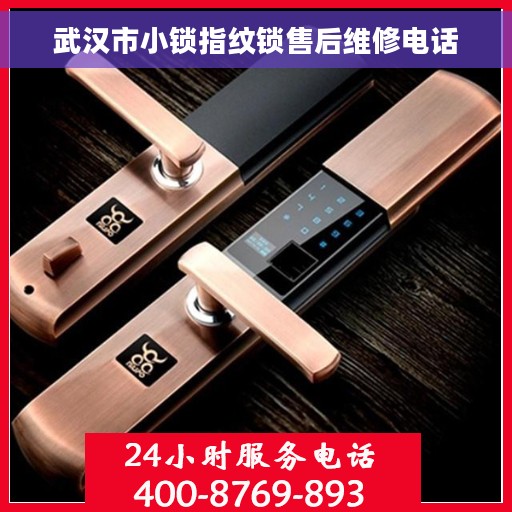武汉市小锁指纹锁售后维修电话