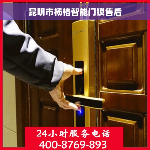 昆明市杨格智能门锁售后