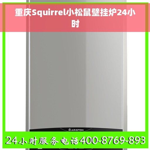 重庆Squirrel小松鼠壁挂炉24小时