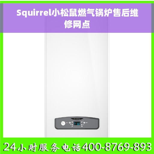 Squirrel小松鼠燃气锅炉售后维修网点