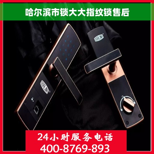 哈尔滨市锁大大指纹锁售后