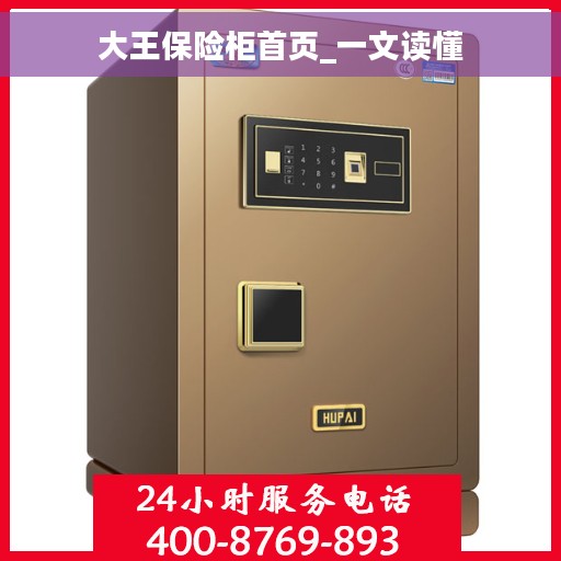 大王保险柜首页_一文读懂