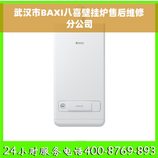 武汉市BAXI八喜壁挂炉售后维修分公司