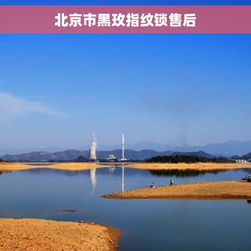 北京市黑玫指纹锁售后