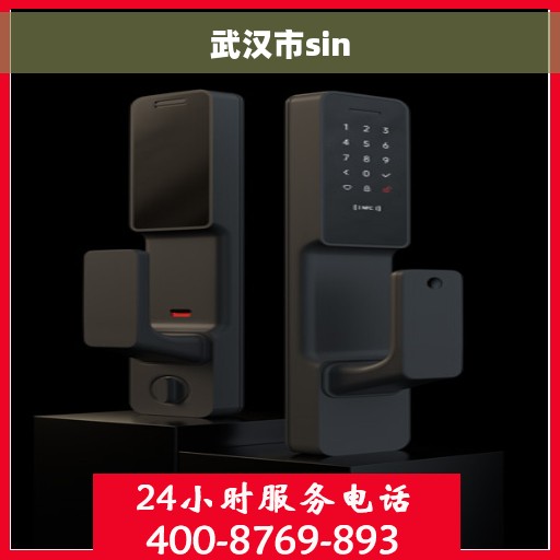 武汉市sin