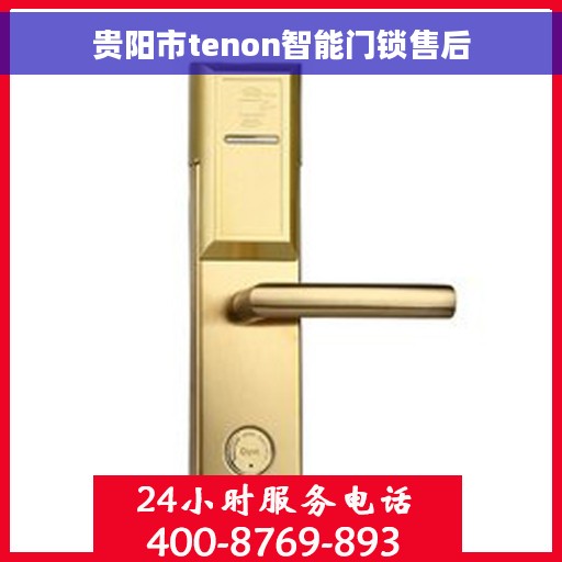 贵阳市tenon智能门锁售后