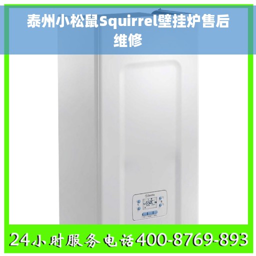 泰州小松鼠Squirrel壁挂炉售后维修