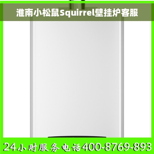 淮南小松鼠Squirrel壁挂炉客服