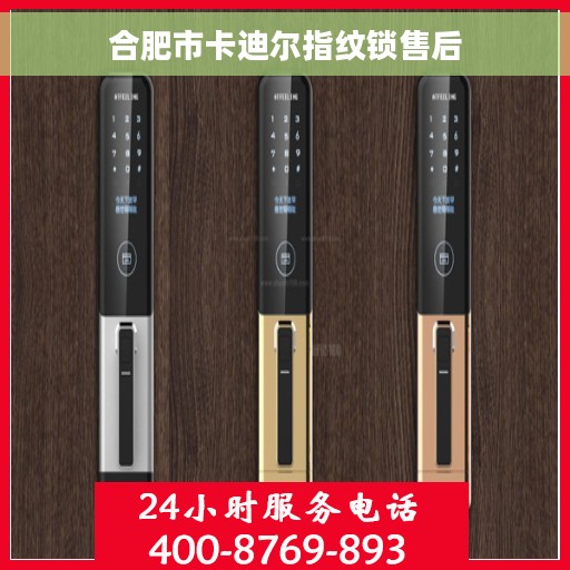 合肥市卡迪尔指纹锁售后