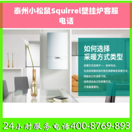 泰州小松鼠Squirrel壁挂炉客服电话
