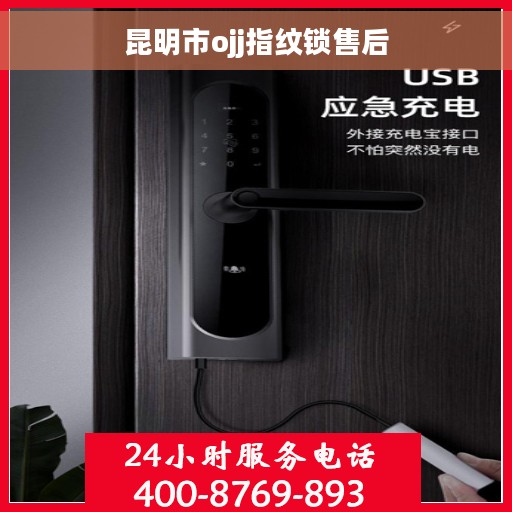昆明市ojj指纹锁售后