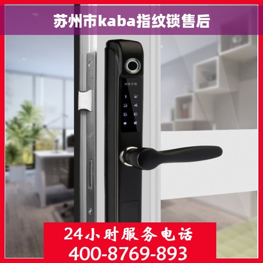 苏州市kaba指纹锁售后