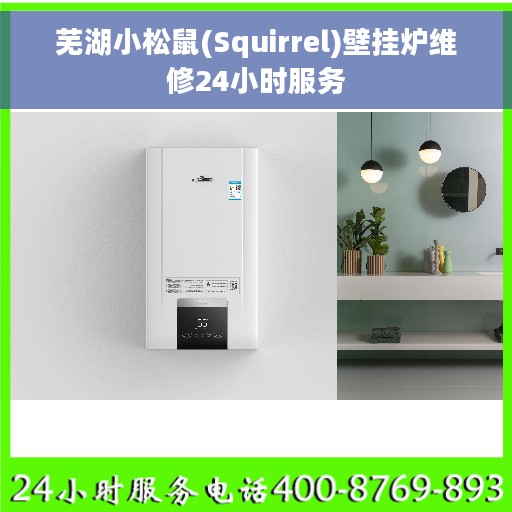芜湖小松鼠(Squirrel)壁挂炉维修24小时服务
