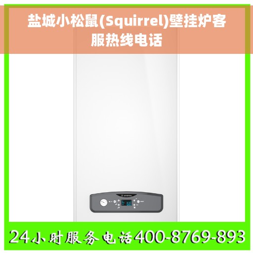 盐城小松鼠(Squirrel)壁挂炉客服热线电话