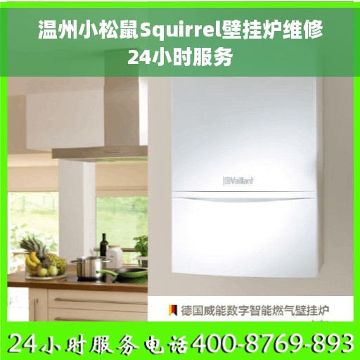 温州小松鼠Squirrel壁挂炉维修24小时服务