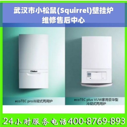 武汉市小松鼠(Squirrel)壁挂炉维修售后中心