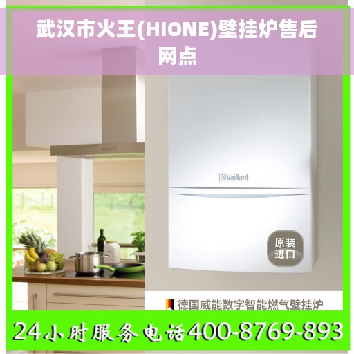 武汉市火王(HIONE)壁挂炉售后网点