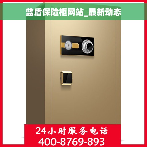 蓝盾保险柜网站_最新动态