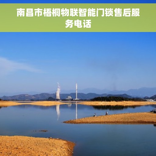 南昌市梧桐物联智能门锁售后服务电话