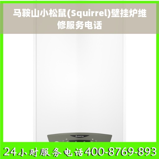 马鞍山小松鼠(Squirrel)壁挂炉维修服务电话