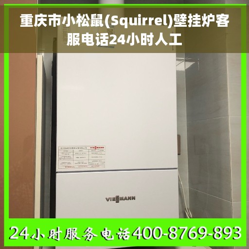 重庆市小松鼠(Squirrel)壁挂炉客服电话24小时人工