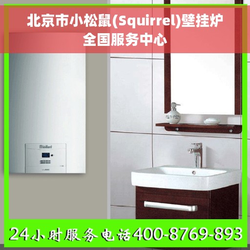 北京市小松鼠(Squirrel)壁挂炉全国服务中心