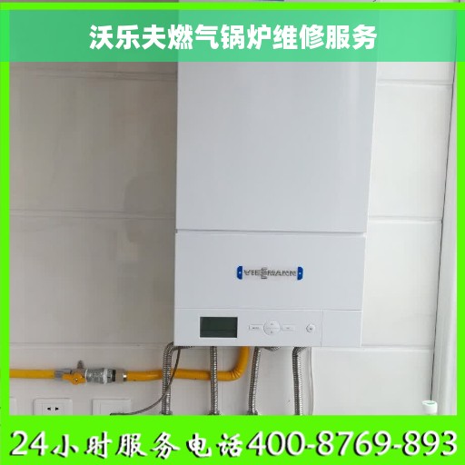 沃乐夫燃气锅炉维修服务