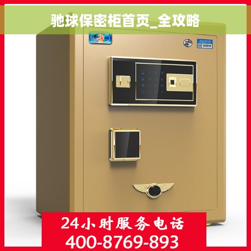 驰球保密柜首页_全攻略