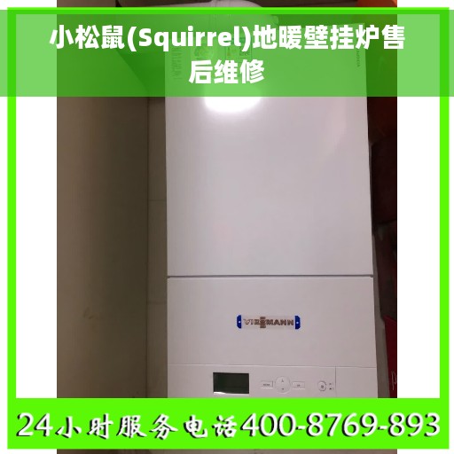 小松鼠(Squirrel)地暖壁挂炉售后维修