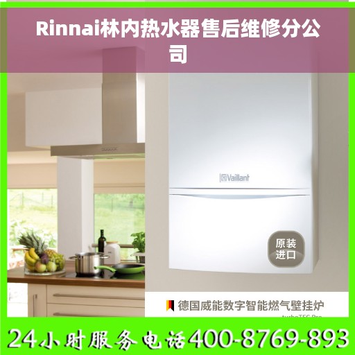 Rinnai林内热水器售后维修分公司