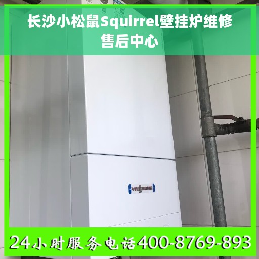 长沙小松鼠Squirrel壁挂炉维修售后中心