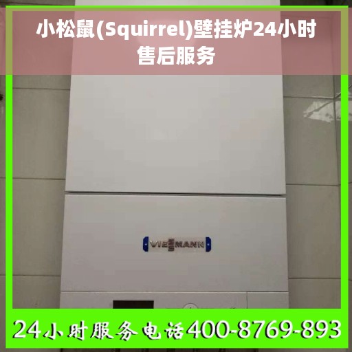 小松鼠(Squirrel)壁挂炉24小时售后服务