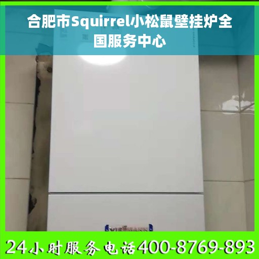 合肥市Squirrel小松鼠壁挂炉全国服务中心