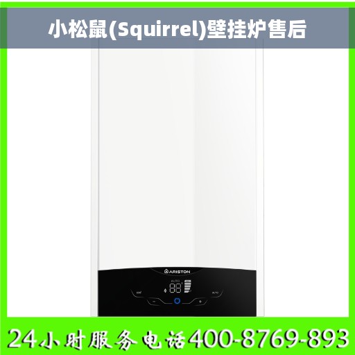 小松鼠(Squirrel)壁挂炉售后