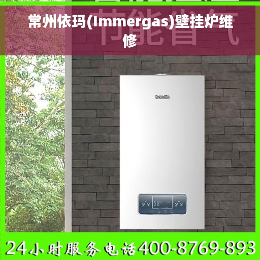 常州依玛(Immergas)壁挂炉维修