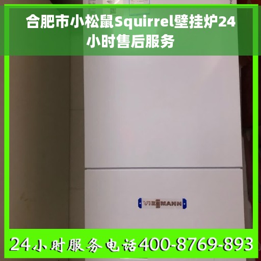 合肥市小松鼠Squirrel壁挂炉24小时售后服务